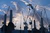 london cranes