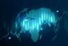 Digital asset management