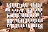 shutterstock_666256663