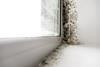 shutterstock housing mould