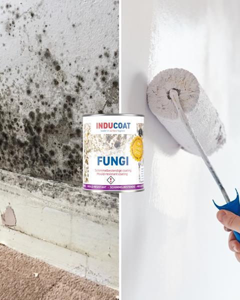 Pazco_BeforeandAfter_Mould.jpg