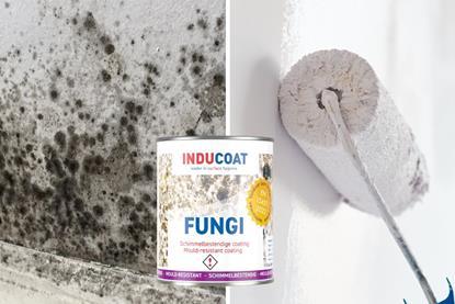 Pazco_BeforeandAfter_Mould.jpg