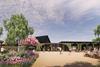 Kingsbrook Meadows