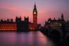 shutterstock_1613781727